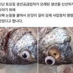 [모두드루와] 중국 생선<b>장수</b>