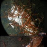 [드루와] 바다/강에 사람이 빠지면 <b>찾기</b> 어려운 이유