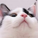 요즘 나처럼 <b>일편</b>단심이 또 어딨어