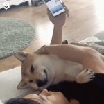 ㅁㅈ야 <b>일루</b>와