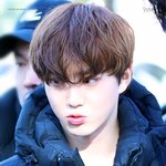 [EXO] 벱뷔걸~ <b>아침</b>을 설레게하는 며닝코올~