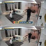 <b>네덜란드</b>의 가정폭력