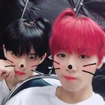 박지훈 배진영 광고봤냐