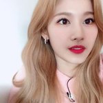 치얼업때 얼굴 보이는 사나