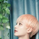 세븐틴 <b>정한</b> 이 사진들 진짜 그림 같아