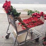 [장미꽃] <b>주눅</b>들어 있어 니 걸음 작은얼굴위의 얼음