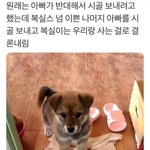 고닥교 다녀보니까 알겠다..
