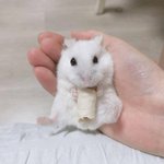 [댓글부탁해] 안경쓰는 친구들 도와줘ㅠㅠㅠ