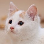 [댓글부탁해] 오늘의 <b>Tmi</b> 하나씩 말하기