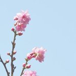 [댓글부탁해] <b>연야</b>상담해줄 또래 남녀 구해ㅠㅠ