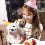 [모두드루와] 우주소녀 <b>루다</b> 강아지 너무 귀엽닼ㅋㅋ