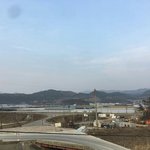 중국인들은 뇌가 장식이라는 게