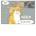 술머겄느데