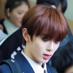 한림예고 입학한 아이돌 중에