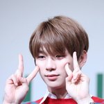 [강다니엘] 보쯍아를 누르지 <b>마세오</b>