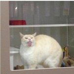 [드루와] 찐따<b>무리</b> 들어간지 2일뎄는데 정신상태 알려줌