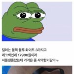 [모두드루와] 흔한 <b>에코</b>백 후기