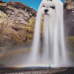 [ㅈㄱㄴ] 고1 고2 <b>모평</b> 못 봤다고 슬퍼하지마