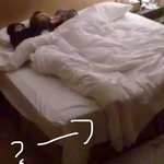 [EXO] 세호니 다리 삼<b>메다</b>..?