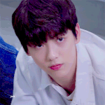 [EXO] 백현 상위<b>호환</b>이라는