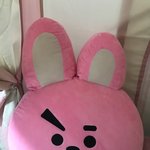 [드루와] 라인프렌즈 쿠키 <b>배게</b>삿어