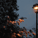 [드루와] <b>추측</b>)프듀<b>X</b> 1화 미리보기