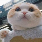 나 반만 <b>메</b><b>컵</b>해봣는디