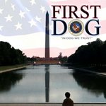 미국 대통령은 필수로 해야한다는것ㄷㄷㄷ