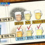 물 <b>대용</b>으로 마실 수 있는 차/ <b>대용</b> 안되는 차