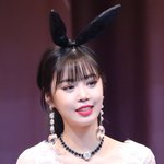 [댓글부탁해] <b>롯</b>리알바생 질문받는다