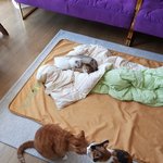 [강다니엘] <b>얼른</b> 보고싶어