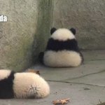 [댓글부탁해] 오늘의 <b>TMI</b> 말해보장!