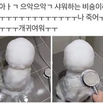 넷플릭스 인증어캐함??