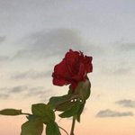 [댓글부탁해] <b>교장</b>쌤 나 전에 혼자다닌다고 꼽줬는데