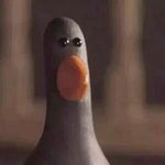 [ㅈㄱㄴ] 내신보다 모평이 더 잘 나오는디 정<b>시각</b>?