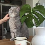 [댓글부탁해] 어제 엄마가 <b>주민</b>센터에서 울고왔어