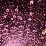 [댓글부탁해] 베스트리그로 <b>승격</b>됐다 ㅠㅠㅠㅠ