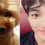 [EXO] 밥먹고 <b>초코</b> 마카롱 먹을꺼임