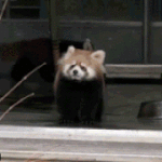 <b>뜨악</b> 이너컨츠 뚫었는데 개아푸덩