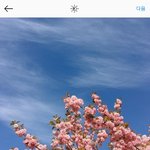 [드루와] 큰맘먹고 공유하는 인스타 <b>보정법</b>