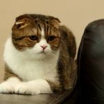 [댓글부탁해] <b>미세</b>먼지중국아니고바다에서날라온거라고