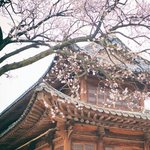 [드루와] 요즘 왜 이렇게 <b>국뽕</b>이 차는건지 모르겠네