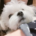 [댓글부탁해] 얘들아 내 숙제 아이디어좀!!!!