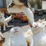 [댓글부탁해] <b>뽄새</b>가 간지아니냐?