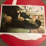 [방탄소년단] 이삐덜 <b>태형</b>이 고양이카페
