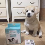 우리 어그로에 끌리지 <b>말자</b>！