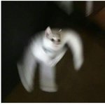 요즘 목이 <b>칼칼</b>하고 아픈데 왜 이럼?ㅠㅠ