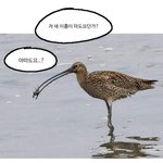 [19] 짝남 꼬시는 법