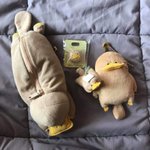 [댓글부탁해] 원래 <b>세</b>특 전<b>과목</b> 다써주는거 맞지?