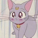 [19] 나 골목길에서 <b>첨보</b>는 사람이랑 했어ㅋㅋ